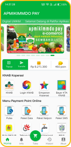 HP APMIKIMMDO PAY